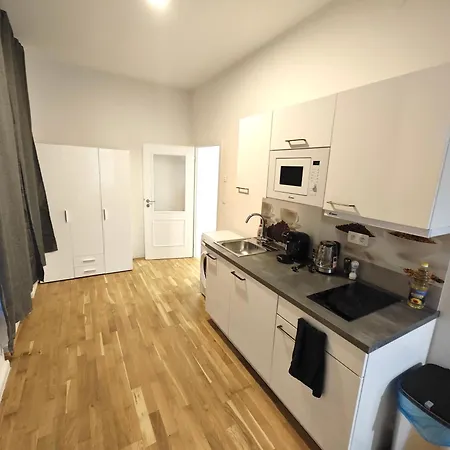 Apartment Petrska New Town