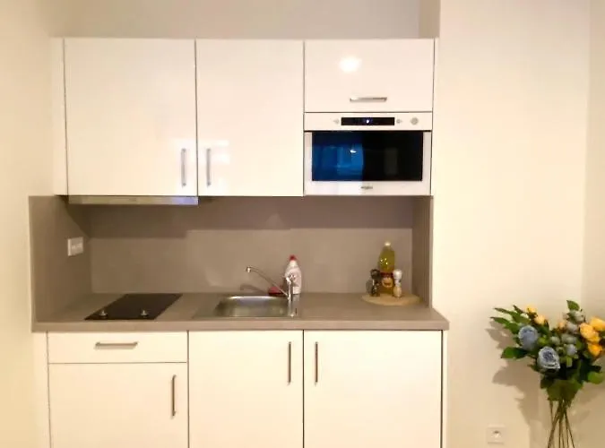Petrska New Town Appartement Prague